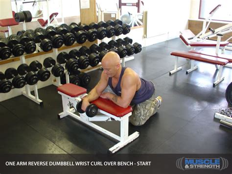 One Arm Reverse Dumbbell Wrist Curl Over Bench Video Exercise Guide And Tips