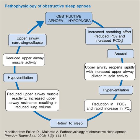 obstructive sleep apnoea and anaesthesia anaesthesia and intensive care medicine