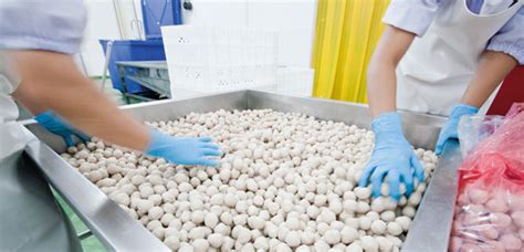 Pests, weeds and diseases (pests) pose serious risk for primary producers as they can impact on market access and agricultural production. PCI | Pest Control for Food Processing Industry