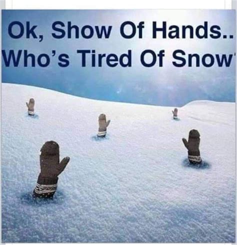 Snow Meme Snow Humor Winter Jokes Winter Humor Cold Weather Memes Weather Quotes Winter