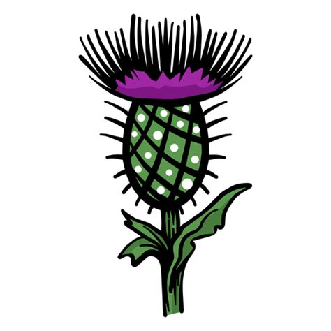 Thistle Thorn Spike Flat Transparent Png And Svg Vector File