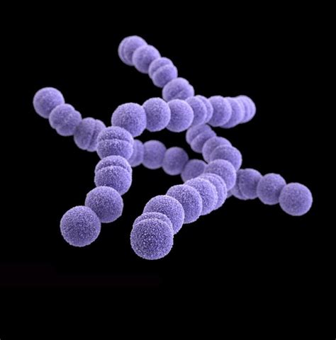 Argentina Invasive Group A Streptococcus Situation Cases Up In 2023