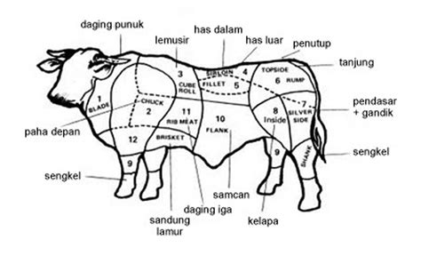 Check spelling or type a new query. jual beli segala rupa: Pisau golok khusus sembelih qurban