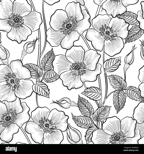 Floral Seamless Outline Sketch Pattern Flower Background Floral Tile