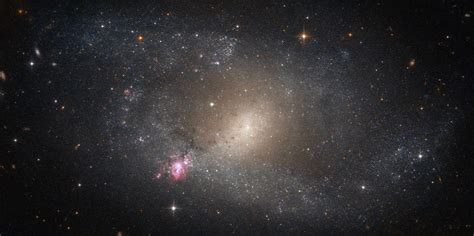 Hubble Observes Barred Spiral Galaxy Ngc 5398 Scinews