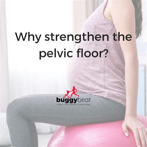 Why Strengthen Your Pelvic Floor Buggybeat