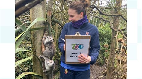Staff At Newquay Zoo Take On Their Biggest Job Of The Year Counting