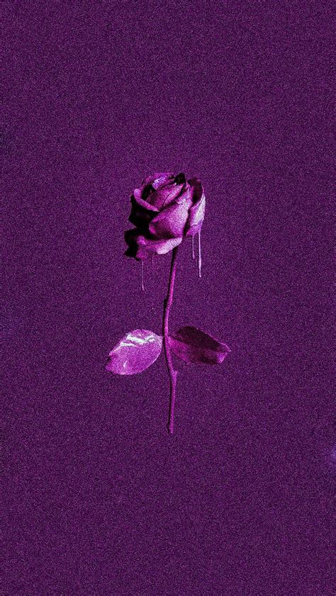 Purple Rose Grain Effect Paint Hd Photography
