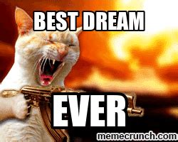 Looking these funny memes is one of the simple ways to put laughter back into your life. Animated GIF - Find & Share on GIPHY