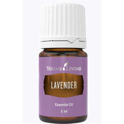 Jual Young Living Essential Oil Lavender 5ml Obat And Vitamin Bayi