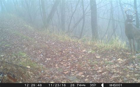 2017 Advanced Trail Cam Strategy Series Whitetail Habitat Solutions