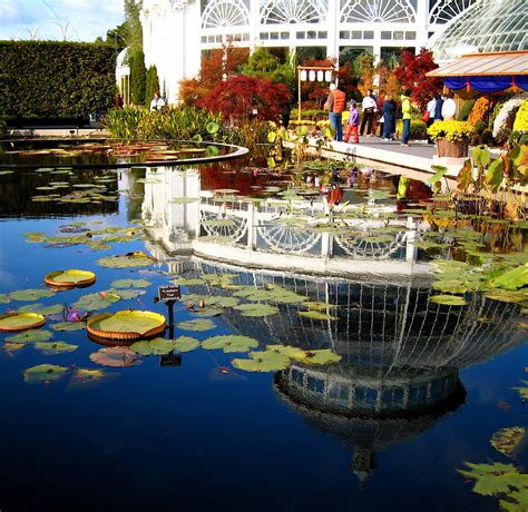 The 15 American Cities With The Best Botanical Gardens Botanical