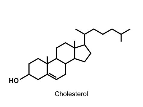 Understanding Cholesterol Part 1 Cholesterol Understanding Organic