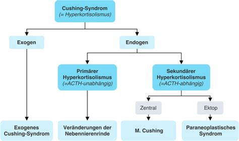 Endokrinologie Cushing Syndrom Hypercortisolismus Amboss