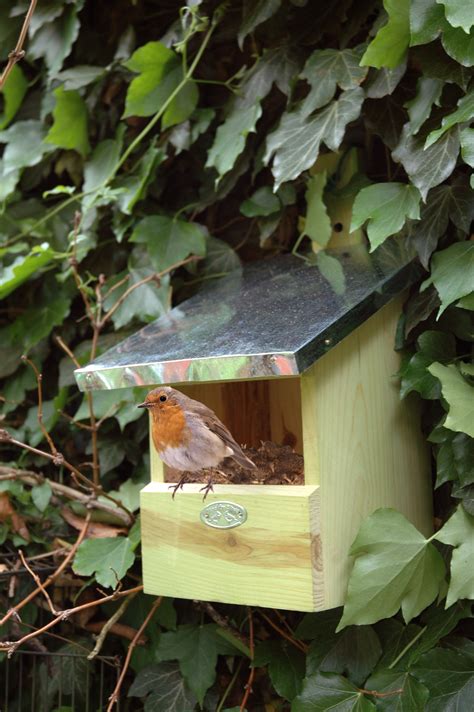 Robin Nest Box Irish Garden Birds