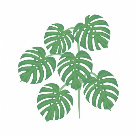 Monstera Tropical Swiss Cheese Plant Leaf Icon Download On