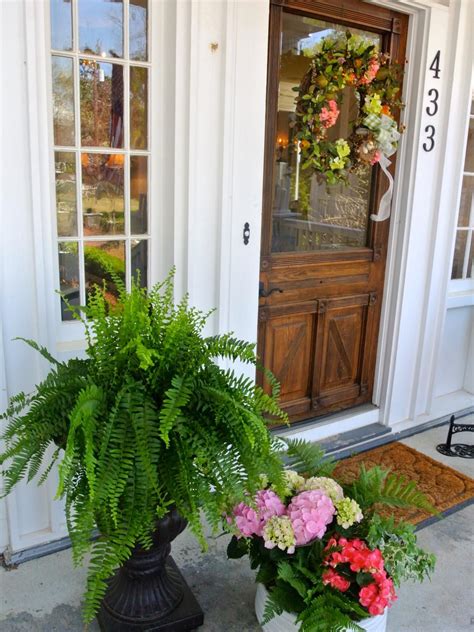 10 Plants For Front Door Planters