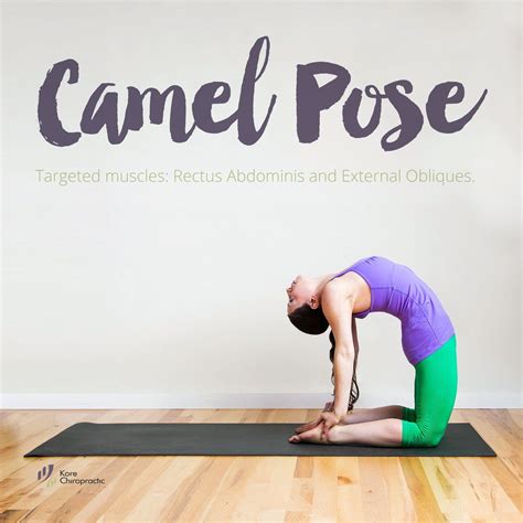 The cat camel can help increase thoracic spine (middle/upper back) mobility and is useful for warming up and protecting the spine. #Stretching: Camel Pose. Targeted muscles: Rectus ...