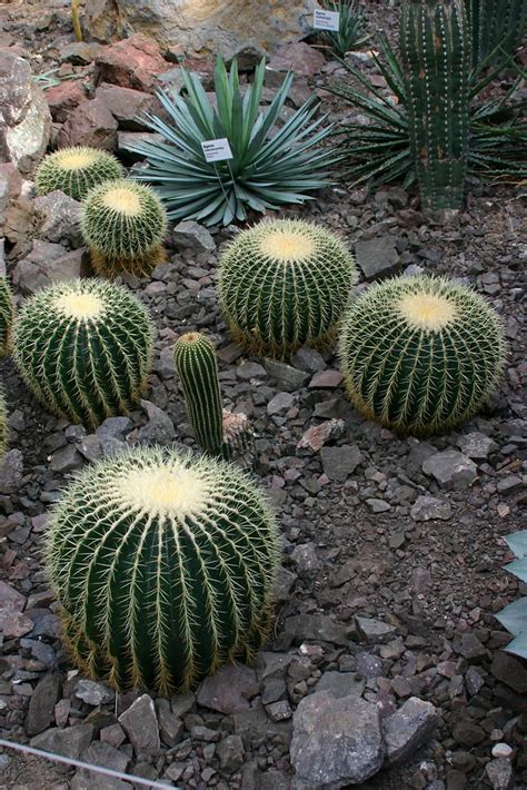 Check spelling or type a new query. Botanischer Garten Liberec
