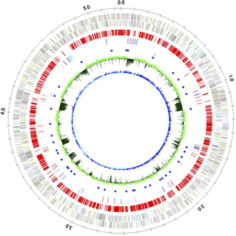 Whole Genome Sequence Of Desulfovibrio Magneticus Strain Rs 1 Revealed