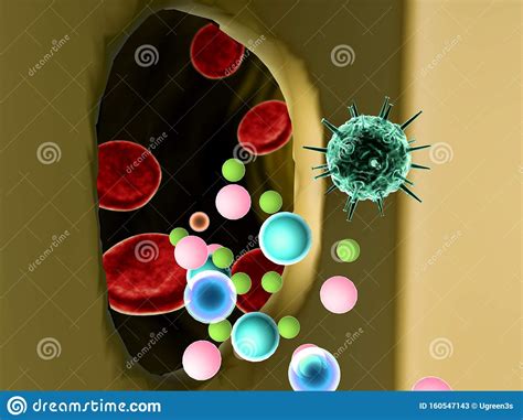 Virus Inside The Cell Stock Illustration Illustration Of Magnification