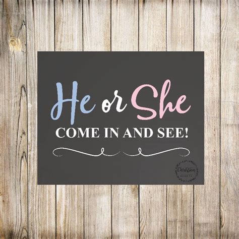 He Or She Sign He Or She Party He Or She Decor Reveal Etsy Gender