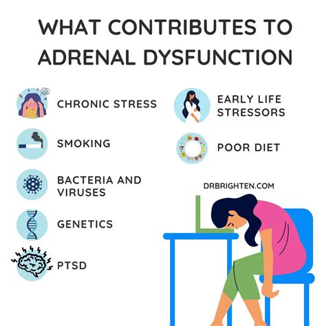 Adrenal Fatigue Symptoms Causes And Treatments Dr Jolene Brighten