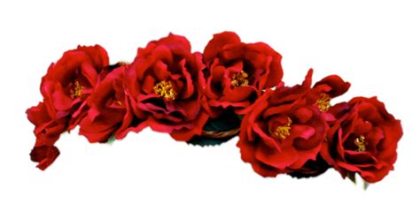 Download High Quality Flower Crown Transparent Maroon Transparent Png