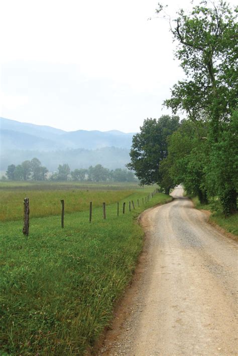 Take These 10 Country Roads In Tennessee For A Scenic Drive Artofit