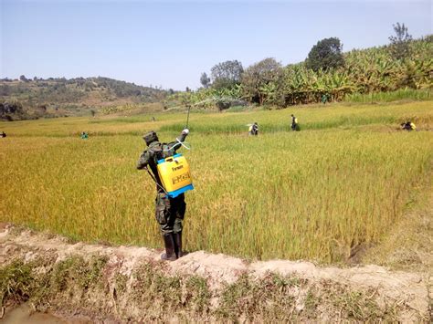 Impamvu ugomba kumenya zitera kubabara mu nda yo hasi ku bagore. Ubuzima 2018: Mu Rwanda bikanze Ebola, RDF yongera kuvura ...