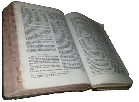 Book Of Revelation Bible Theology Prophet Book Png Download 1416