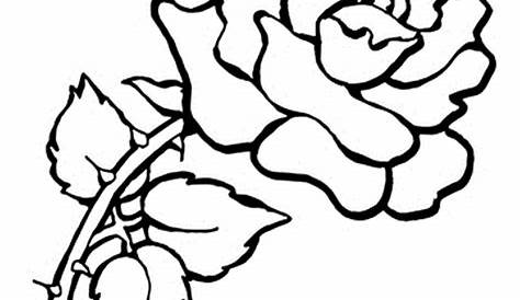 printable coloring pictures of flowers