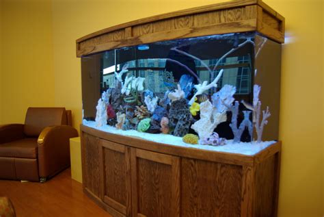 Custom Saltwater Aquarium And Cabinetry From Blue Planet Aquarium