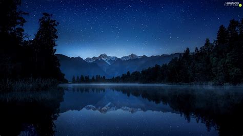 Fog Night Lake Forest Mountains For Phone Wallpapers