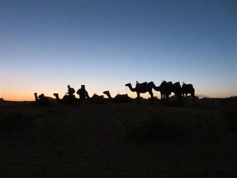 The Sahara Desert A Once In A Lifetime Experience Sahara Desert