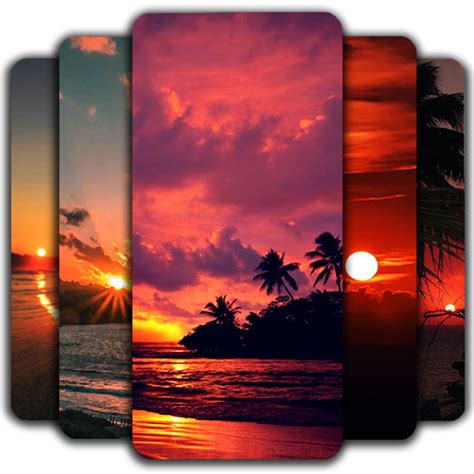 Sunset Wallpaper Sunset Scene Backgroundsukappstore For