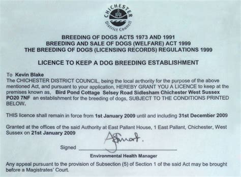 Do You Need A License To Breed Dogs In The Uk