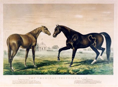 Currier And Ives Print Hambletonian 10 And Widow Mcchree Horse Art