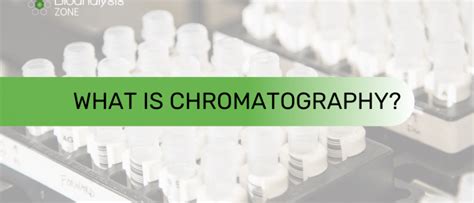 What Is Chromatography And How Does It Work Bioanalysis Zone