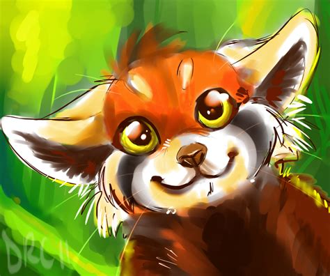 Red Panda Doodle By Synthucard On Deviantart