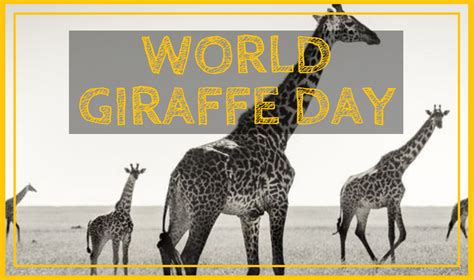 Forever Lost In Literature Its World Giraffe Day