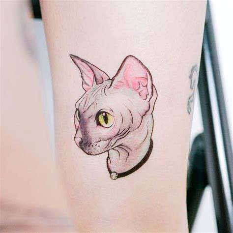 Hairless Cat Tattoo Stickers Sphynx Cat Tattoo Sphynx Tattoo Etsy