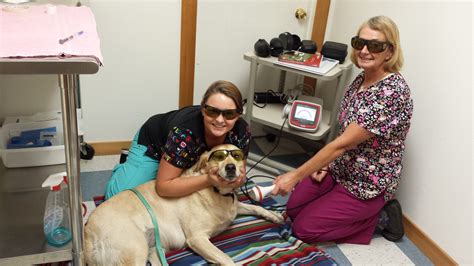 Our professional staff is passionate about our work that helps people see the possibilities, believe in themselves, and. Services | Veterinarian in Winlock, WA | Rolling Hills ...