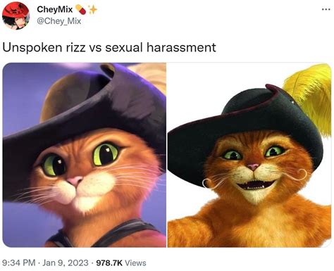unspoken rizz vs sexual harassment puss in boots the last wish know your meme