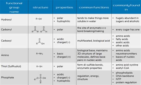 The two acidic amino acids are aspartic. Functional Groups for Health and Bio Majors - Chemistry ...