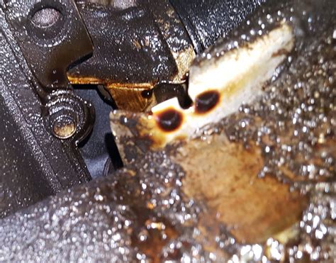 Oil Leak From Filter Is This A Common Problem Ford F Forum