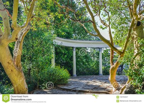 Green Park With Road Trees Alley Nice And Comfortable Great Garden