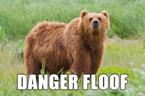 16 Alternate Names for Animals
