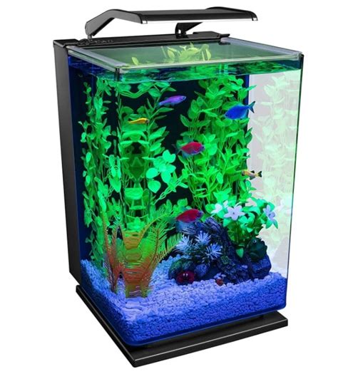 Best 5 Gallon Fish Tank In 2023 Reviews And Buying Guide Ibmk