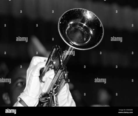 Black Trumpet Player Black And White Stock Photos And Images Alamy